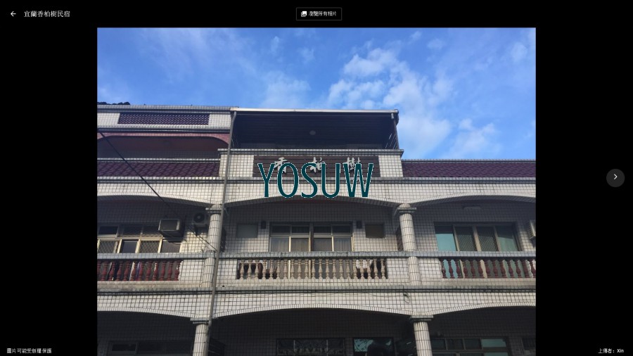 香柏樹
