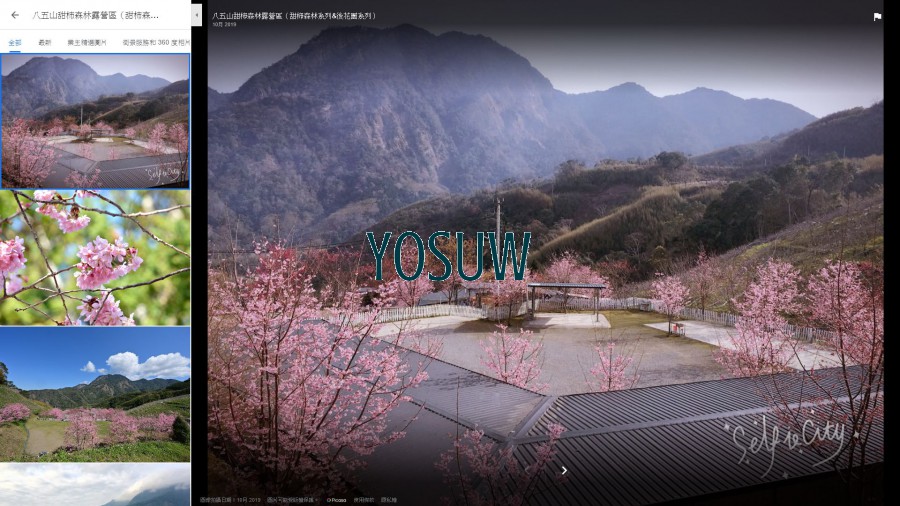 八五山甜柿森林