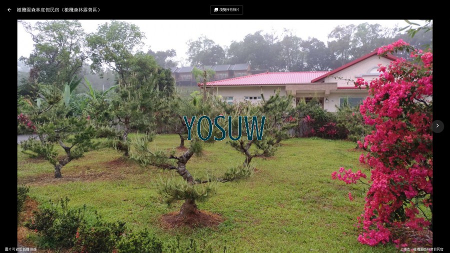 橄欖園森林度假民宿