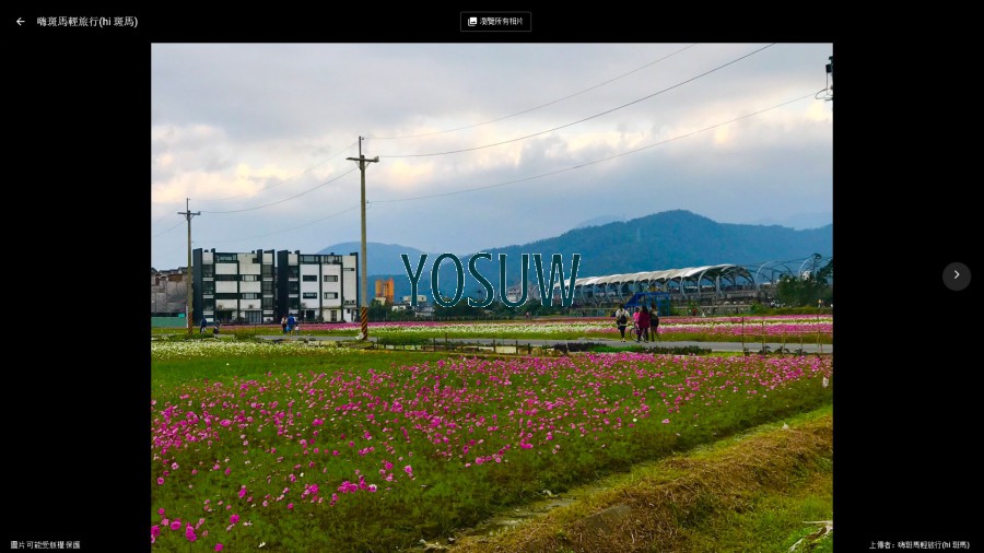 嗨斑馬輕旅行