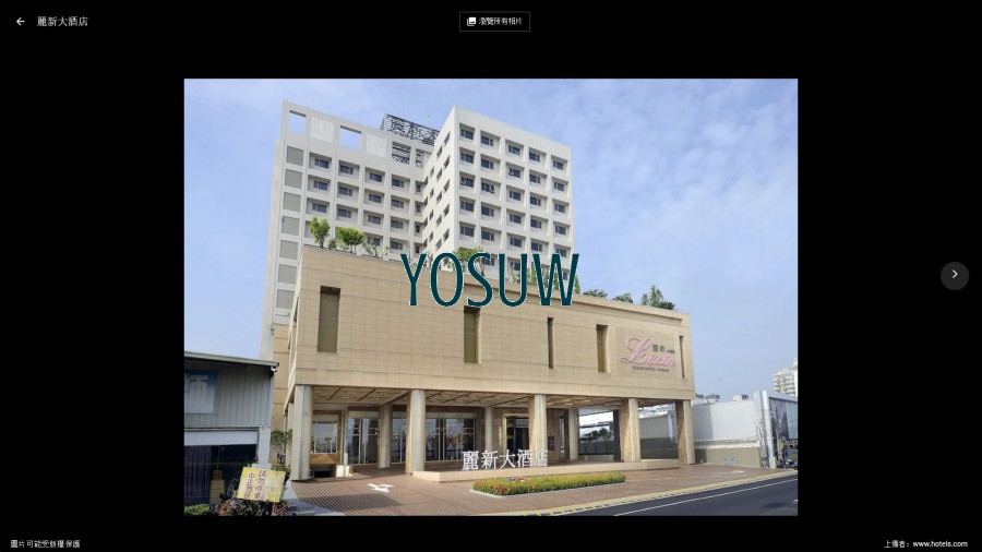 麗新大酒店
