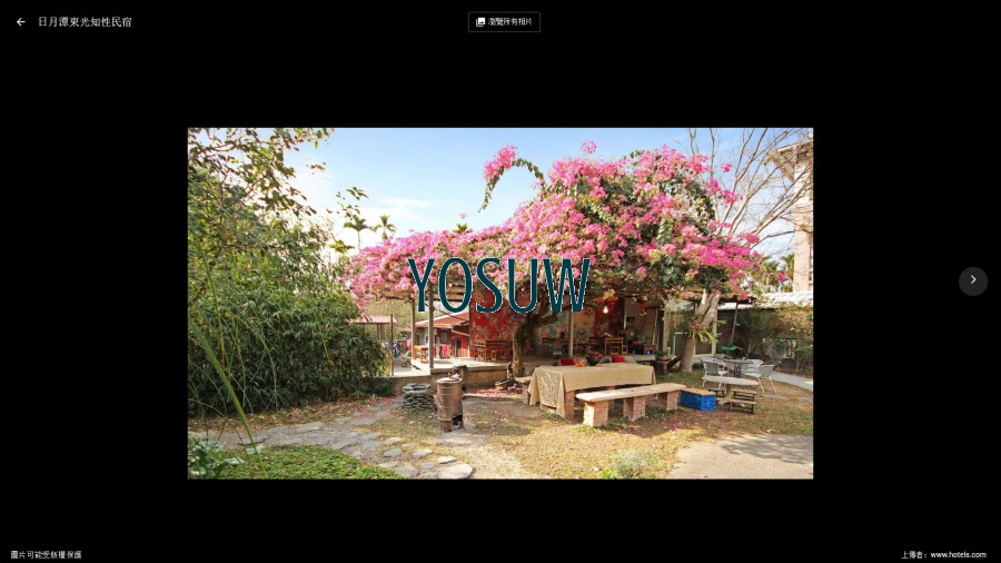 東光知性