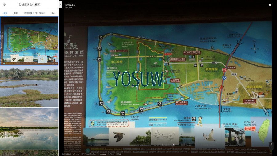 鰲鼓溼地