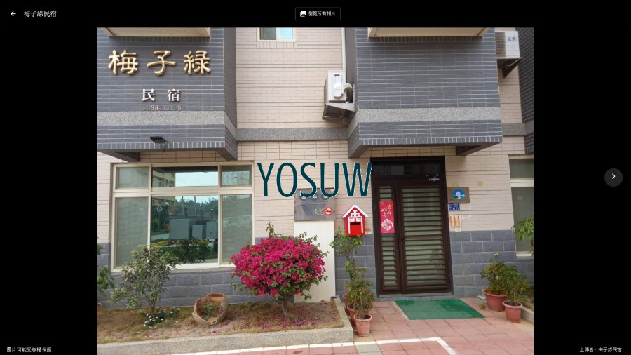 梅子綠