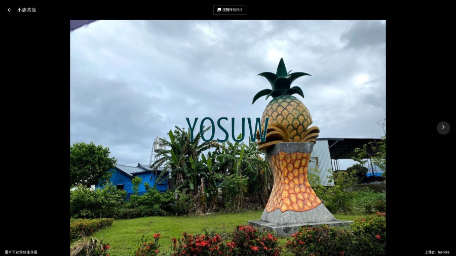 小鹿茶旅民宿