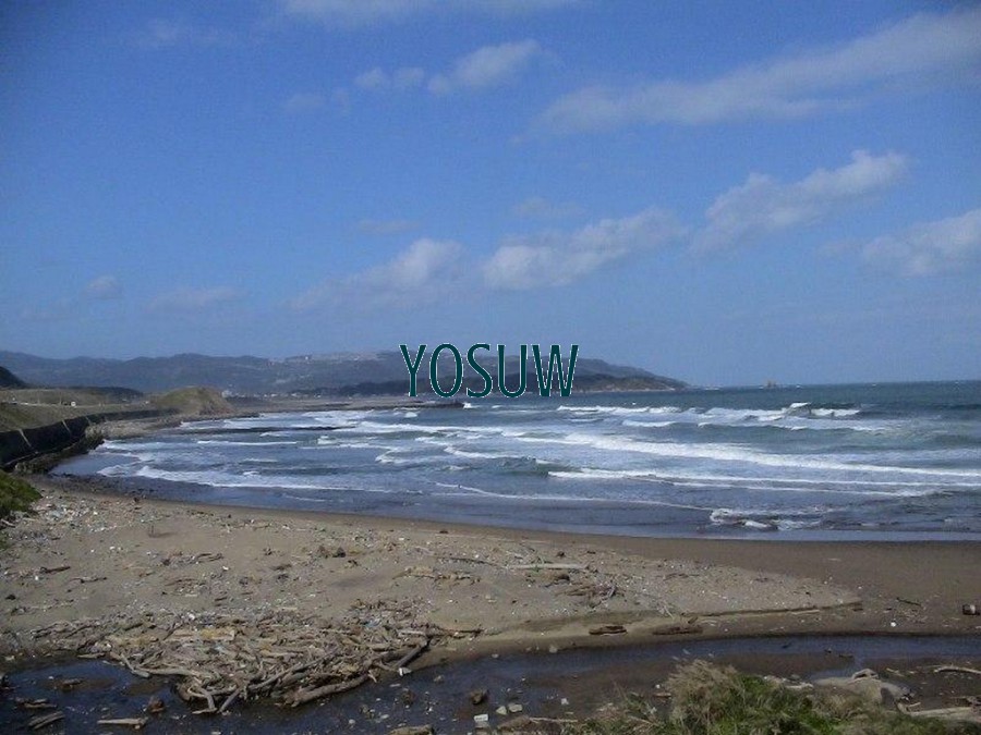 新金山海水浴場