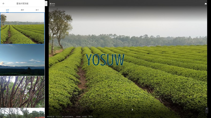雲海休閒茶廠