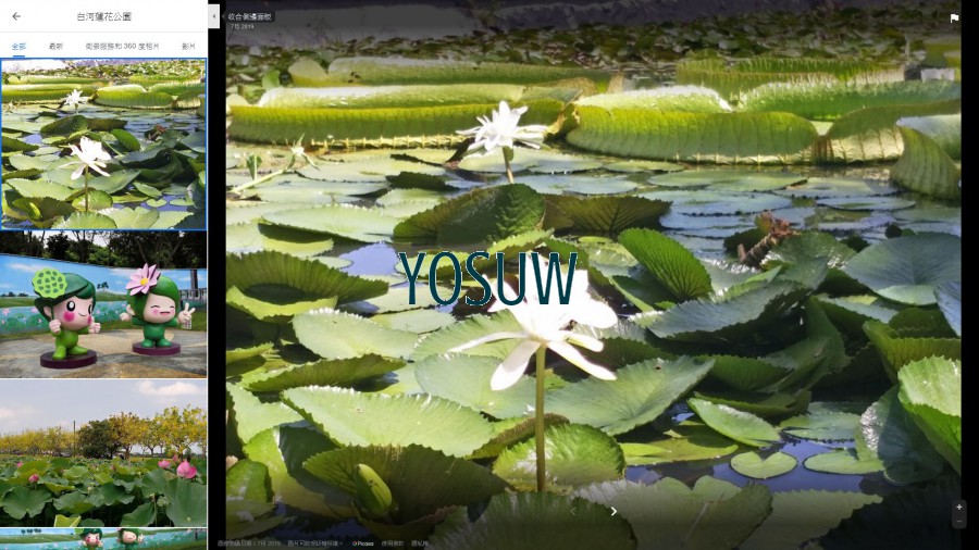 白河蓮花